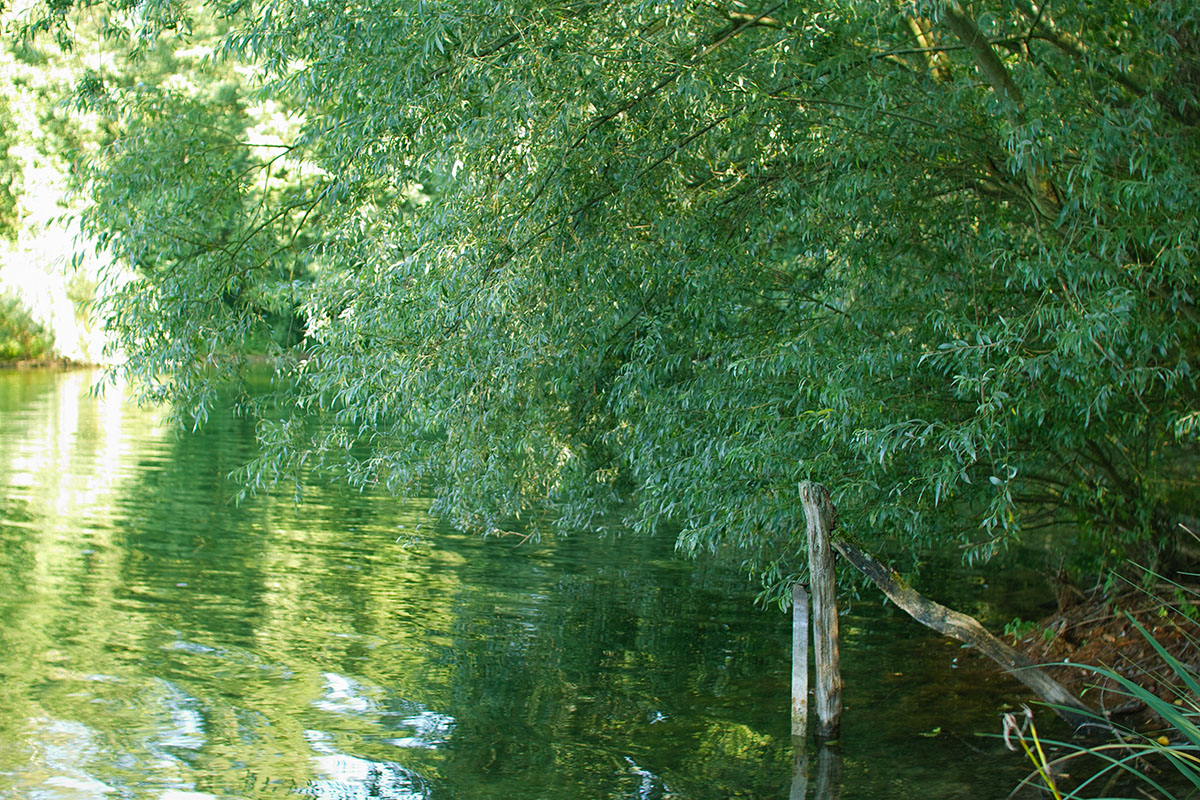 b0148617_04957.jpg