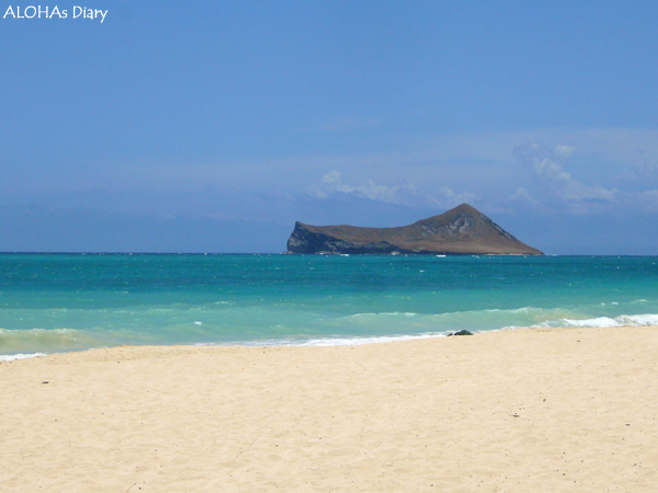 ワイマナロビーチ/Waimanalo Beach_e0163721_859998.jpg