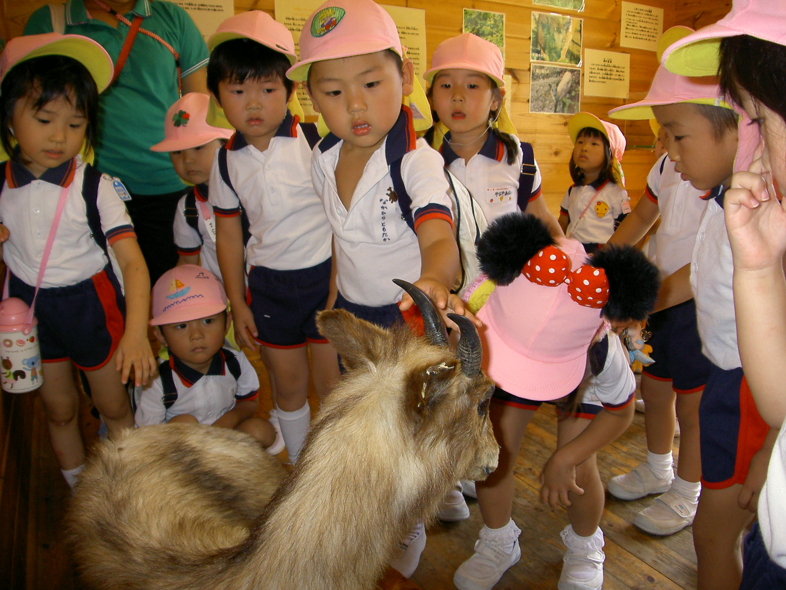 c0194522_13555395.jpg
