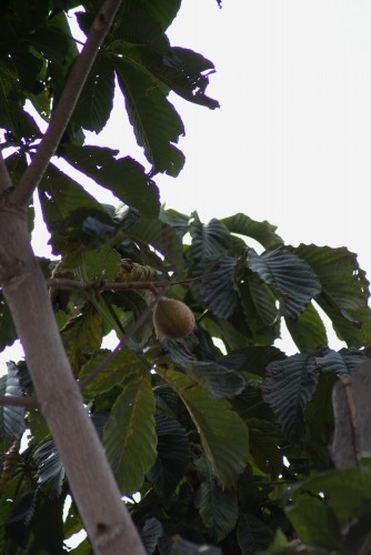 f0170524_12451782.jpg