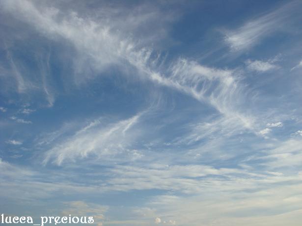 秋は水彩画の空_f0109825_19284054.jpg