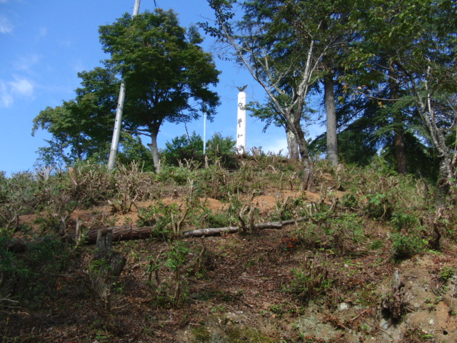 f0111128_18192271.jpg