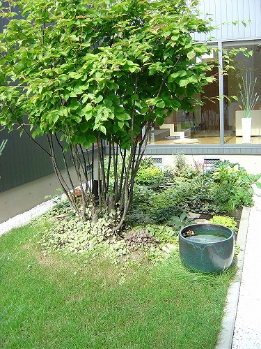 f0205733_20121036.jpg