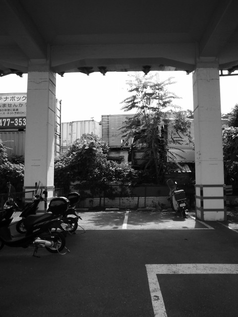 a0087341_23141769.jpg