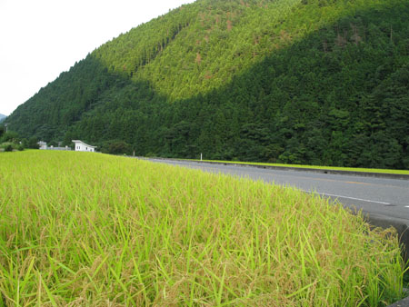 d0095541_8161120.jpg
