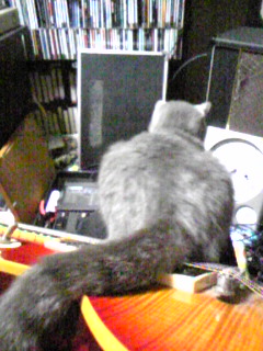 c0014453_0505111.jpg