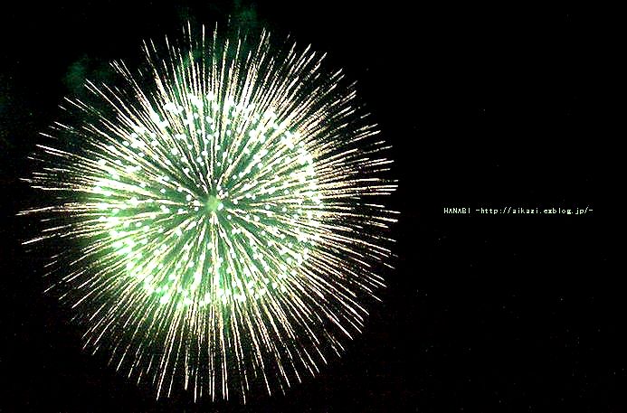 HANABI_e0138755_211478.jpg