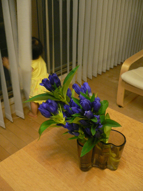 b0176257_0123221.jpg