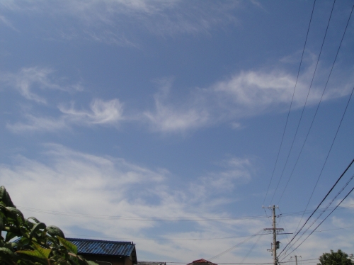 c0108460_1431656.jpg
