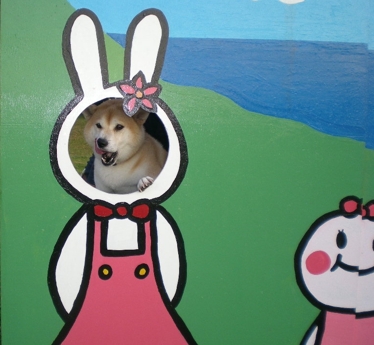 2009年9月11日(金)今日はどんな日?うっふゥ~!_f0060461_17245337.jpg