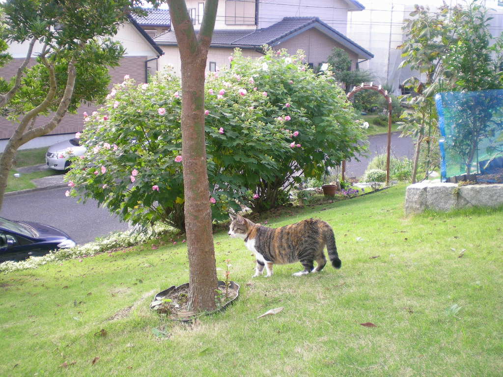 2009年9月11日(金)今日はどんな日?うっふゥ~!_f0060461_17354681.jpg