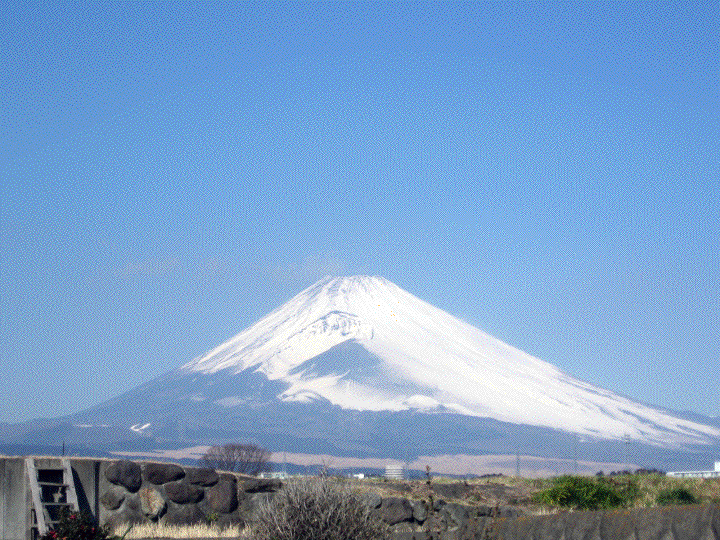 a0043263_1223280.gif