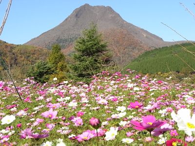 庭先小旅行・九州大分・湯布院で豊後牛ステーキ食べまっせ～！_d0083265_10181684.jpg