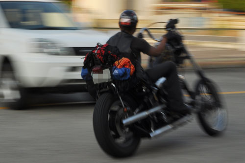 Panning Shot_a0049369_22234319.jpg