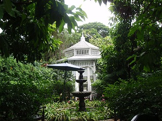 b0086476_1721453.jpg