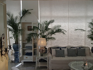 b0086476_17222632.jpg