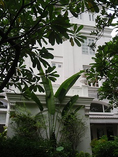 b0086476_1793588.jpg