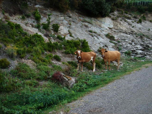 f0136579_1718443.jpg
