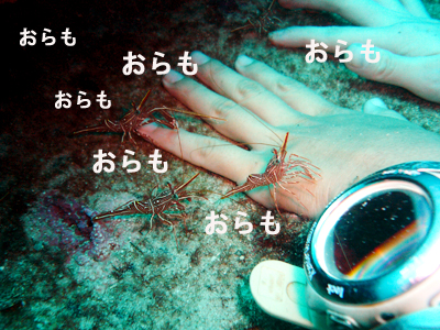 さぁ皆で潜りましょう!_f0144385_231289.jpg
