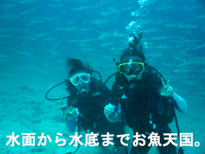 さぁ皆で潜りましょう!_f0144385_2321910.jpg
