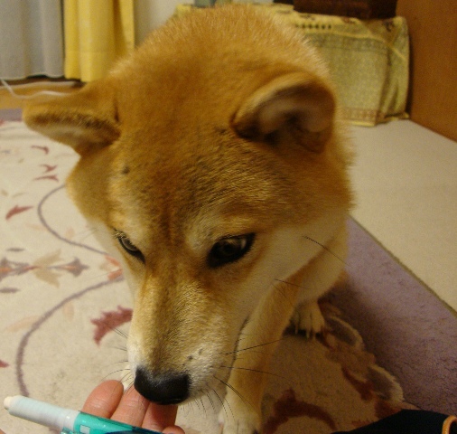 推理_a0126590_23475910.jpg