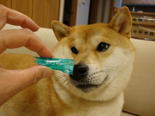 推理_a0126590_2350439.jpg