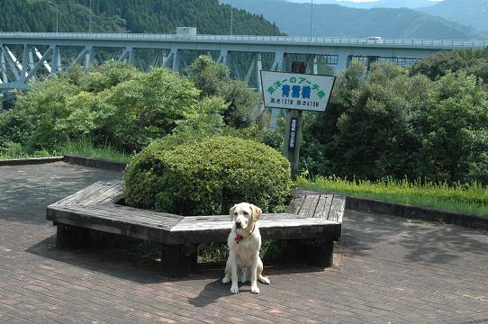 d0020993_9365259.jpg
