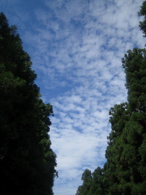 e0061694_1431086.jpg