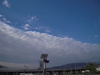 d0110904_920915.jpg