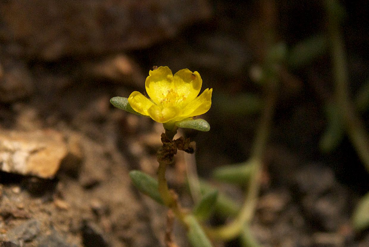 b0174905_6472046.jpg