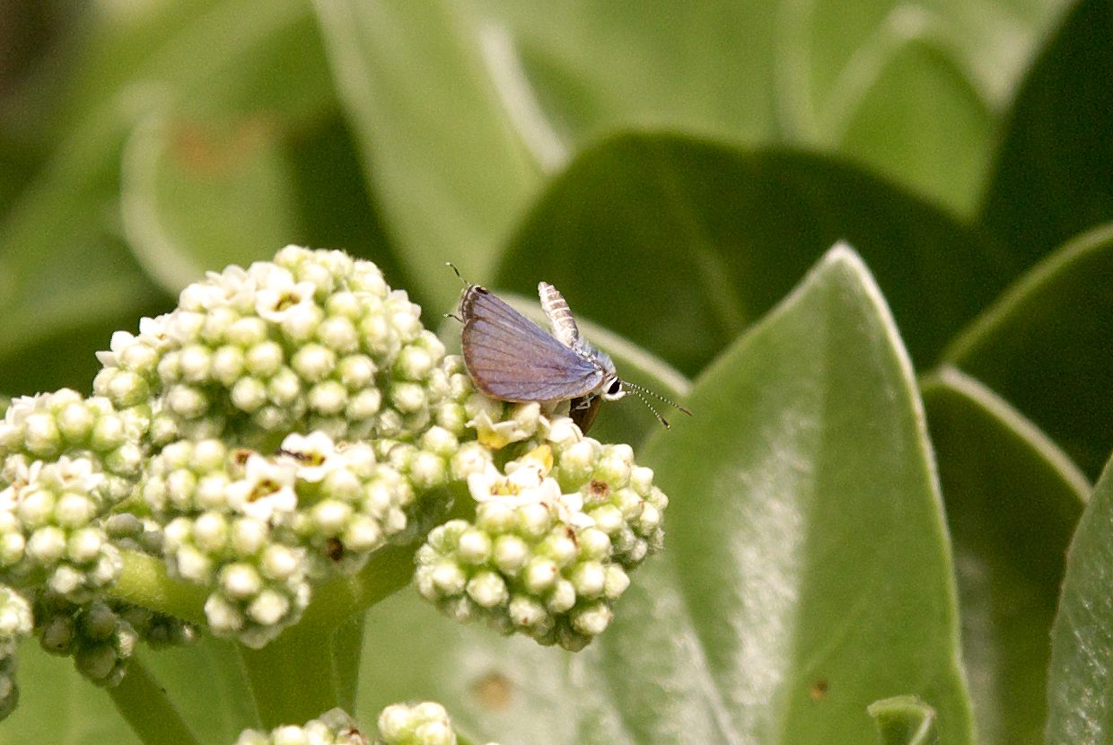 b0174905_652391.jpg
