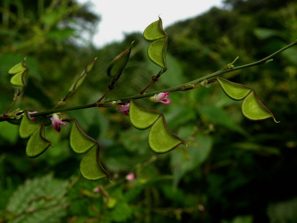 c0078410_910534.jpg