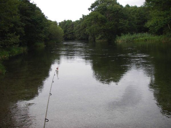 c0153411_8542363.jpg