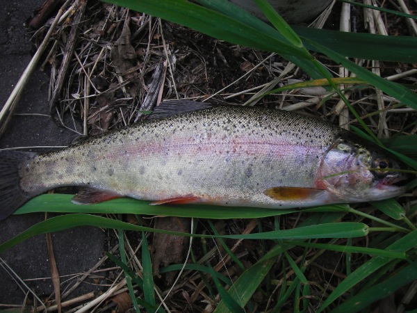 c0153411_8544745.jpg