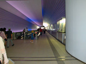 d0002322_20223073.jpg