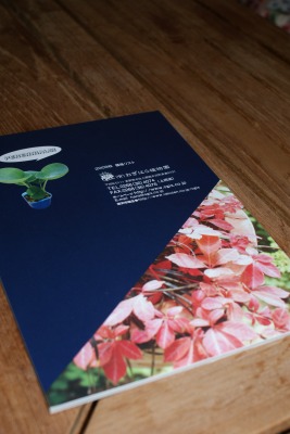 f0170524_1437293.jpg