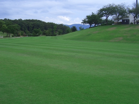 b0181027_17035.jpg
