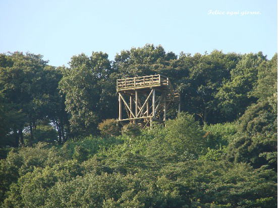 f0035927_1458546.jpg