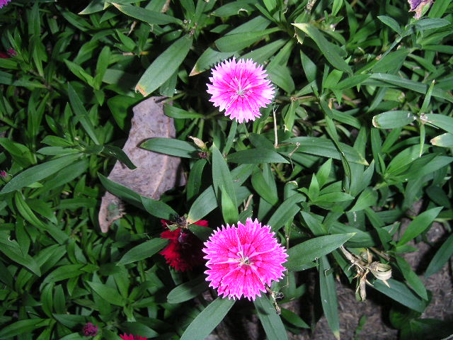 c0127933_11104253.jpg