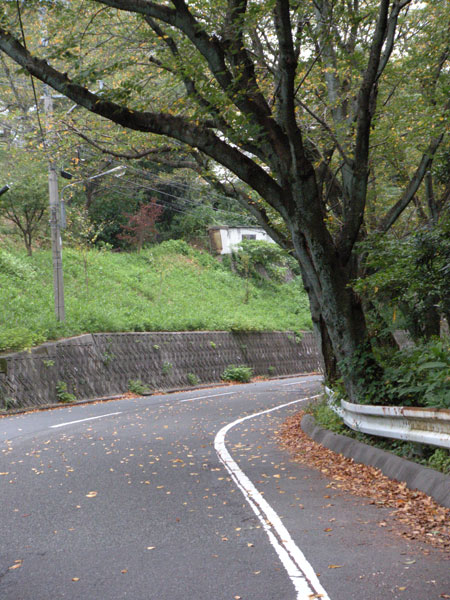 c0047341_21184724.jpg