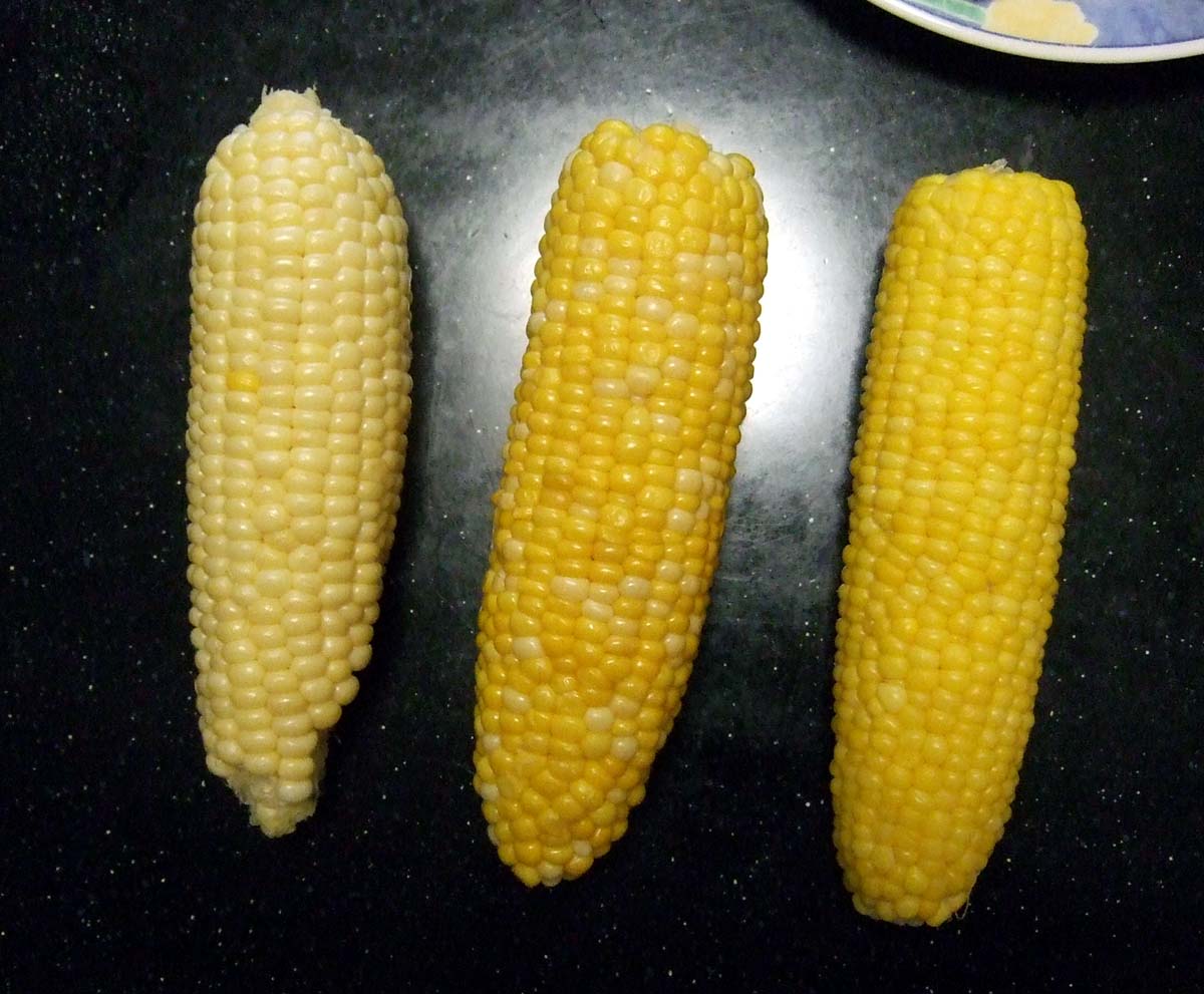 a0082347_2131848.jpg
