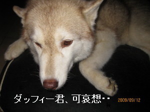 e0121548_20485390.jpg