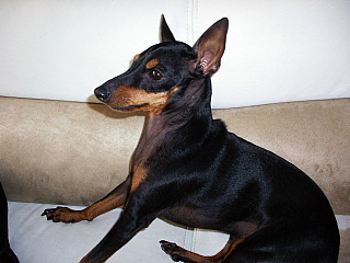 c0123149_11451753.jpg