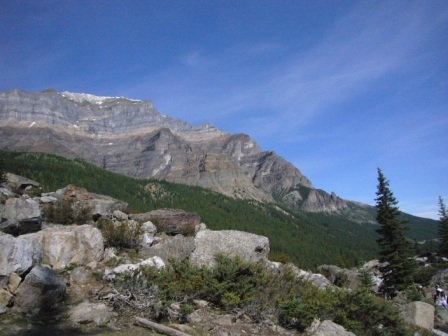 b0059152_15435722.jpg