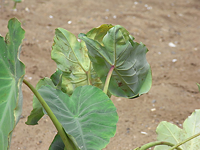 ◆城北メオトお出かけ①・お昼編_b0008655_2053441.jpg