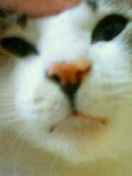 c0052756_07066.jpg