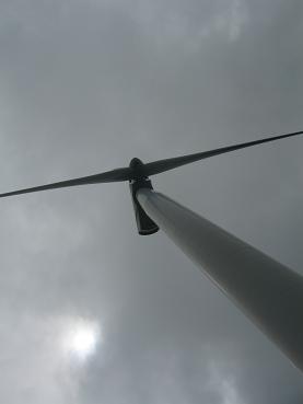 f0180266_173269.jpg