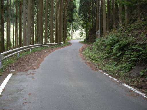 b0185573_2052213.jpg