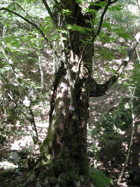 b0185573_66319.jpg