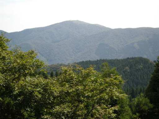 b0185573_7285581.jpg